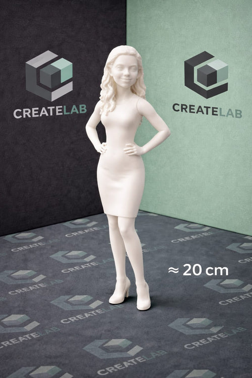 Custom 3D Figurine - (without Painting Kit)